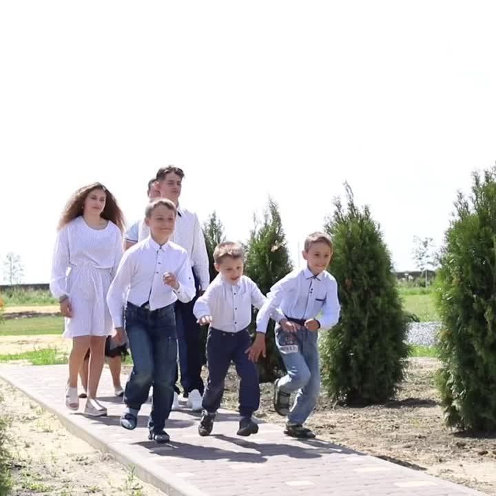             ,      ,     