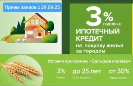           3% 
