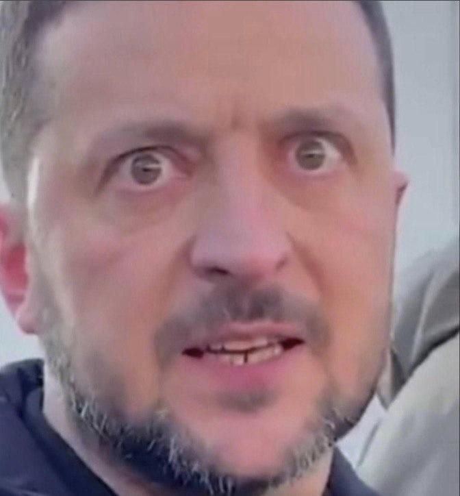 У Зеленского, угрожающего «блэкаутом» Белгородской и Курской областям, «наверное, передоз», предположила официальный представитель МИД РФ Мария Захарова