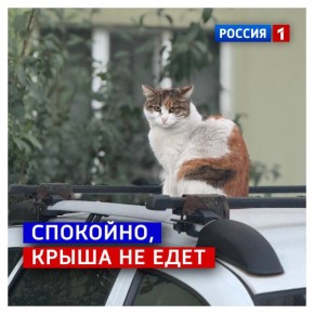 9 , .     