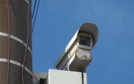      250         