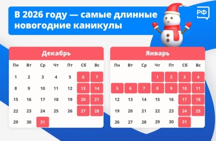       12 :  31  2025-  11  2026 