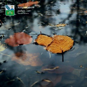  !.  , +12C ,   ,  +10C