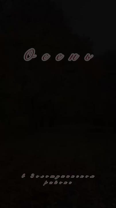 Посмотрите, как прекрасен Золотухинский район осенью! Природа дарит нам поистине золотые пейзажи, которые завораживают своей красотой