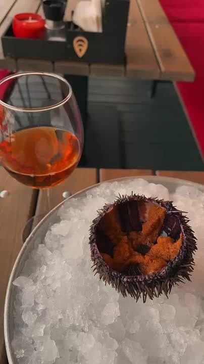 Свежая поставка!. Ежи — снова в продаже! Мы приготовили для вас особенную порцию свежести и удовольствия! Где: У нас, конечно же!