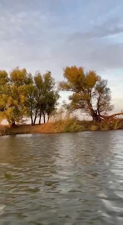 Мурика хоронят завтра.... Прощание со старшим прапорщиком Абаевым Муратом Валерьевичем, геройски погибшим при защите Курской области, состоится в четверг, 16 октября, по адресу: