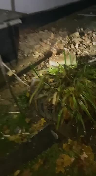  :   :   ,        !        ...