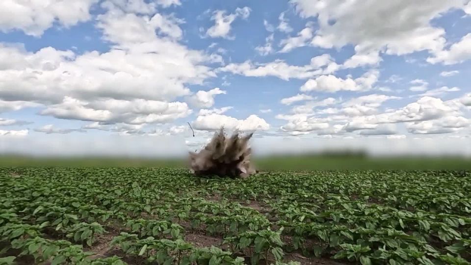 Два майора: Компания Auterion (Вирджиния, США) заявила об успешном завершении проекта Artemis, в рамках которого создан ударный БПЛА с дальностью действия около 1600 км и боеголовкой 40 кг