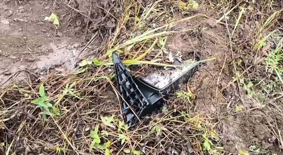 , 19  2025 ,   14  20   10-    --    ,   , - 1995  ...