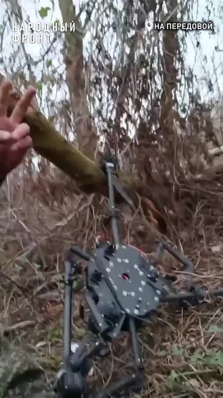 Два метра угрозы: "Болт" поделился видео сбитого гигантского дрона ВСУ "Баба Яга"