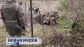 11111 Главные темы выпуска «Вестей Курск» — через несколько минут в нашем эфире: