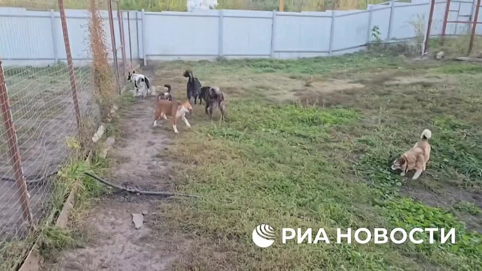     ,          ,       &quot; &quot;  