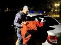 В Курске росгвардейцы задержали мужчину, устроившего скандал в детском саду