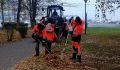 В Курске 69 человек задействованы в уборке улиц