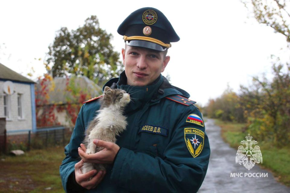 #.    ,         ,    ,     