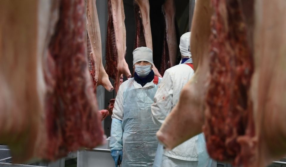 В Курской области в текущем году произведено 418,3 тысячи тонн мяса