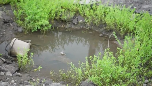 Как восстанавливают курские земли