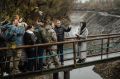 Хинштейн сделал последнее предупреждение расчищающему Тускарь подрядчику