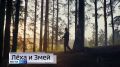 11111 Главные темы выпуска «Вестей Курск» — через несколько минут в нашем эфире: