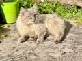 Игорь Кастюкевич: Почти традиционная воскресная рубрика «про жизнь»