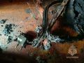 За сутки в Курской области зарегистрировано два возгорания