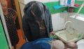 В Курске «управляйка» самоустранилась при залитии квартир