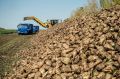 В Курской области завершают уборочную кампанию