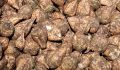Курские аграрии продолжают уборку поздних культур