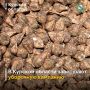 Курские аграрии продолжают работу по уборке поздних сельскохозяйственных культур