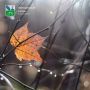 Доброе утро!. Синоптики обещают нам переменную облачность, +9°C в дневные часы, преимущественно без осадков, ночью +6°C