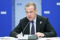 Медведев оценил работу волонтеров в Курской области