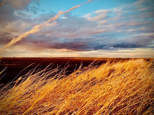 Курскую область заденет «осколками метеобомбы»