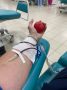 Евгений Маслов: Друзья, приветствую вас! Сегодня перед началом рабочего дня вместе с депутатом КГС Дмитрием Березиным сдал кровь в Курском центре крови