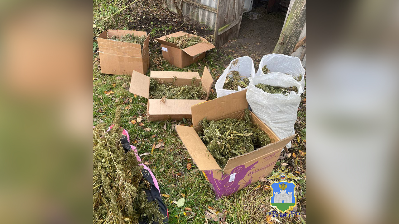 На Орловщине под стражу заключён житель Курской области, хранивший в сарае свыше 25 кг конопли