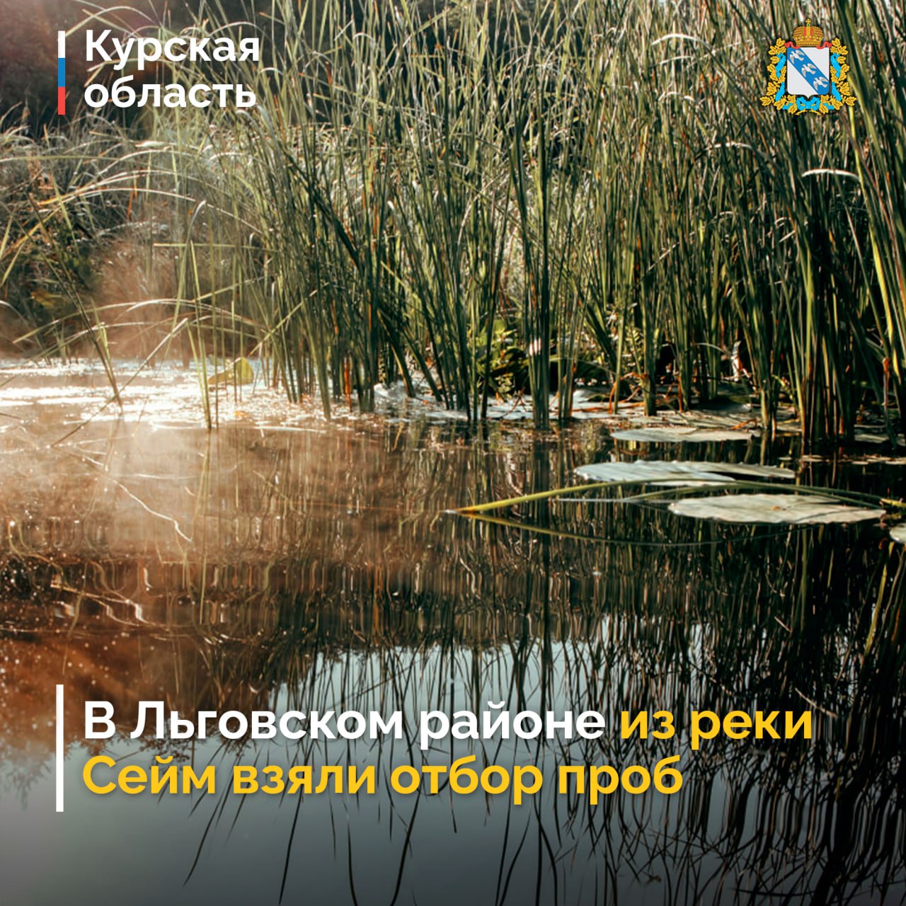Жители Льговского района сообщили о ситуации с мором рыбы на реке Сейм на участке от села Воронино до села Кудинцево