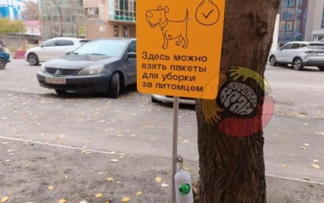 В Курске заработал первый пункт бесплатной раздачи пакетов для уборки за питомцами
