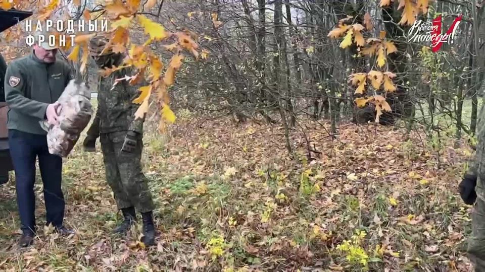 &quot;   !&quot;.         -     ,    