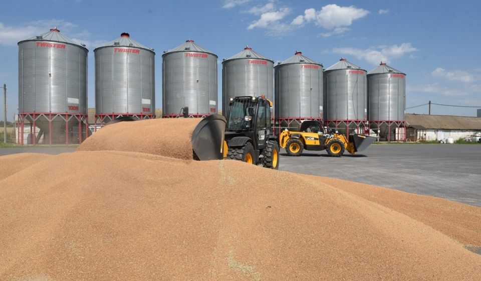 Экспорт продукции АПК Курской области составил 553 млн долларов