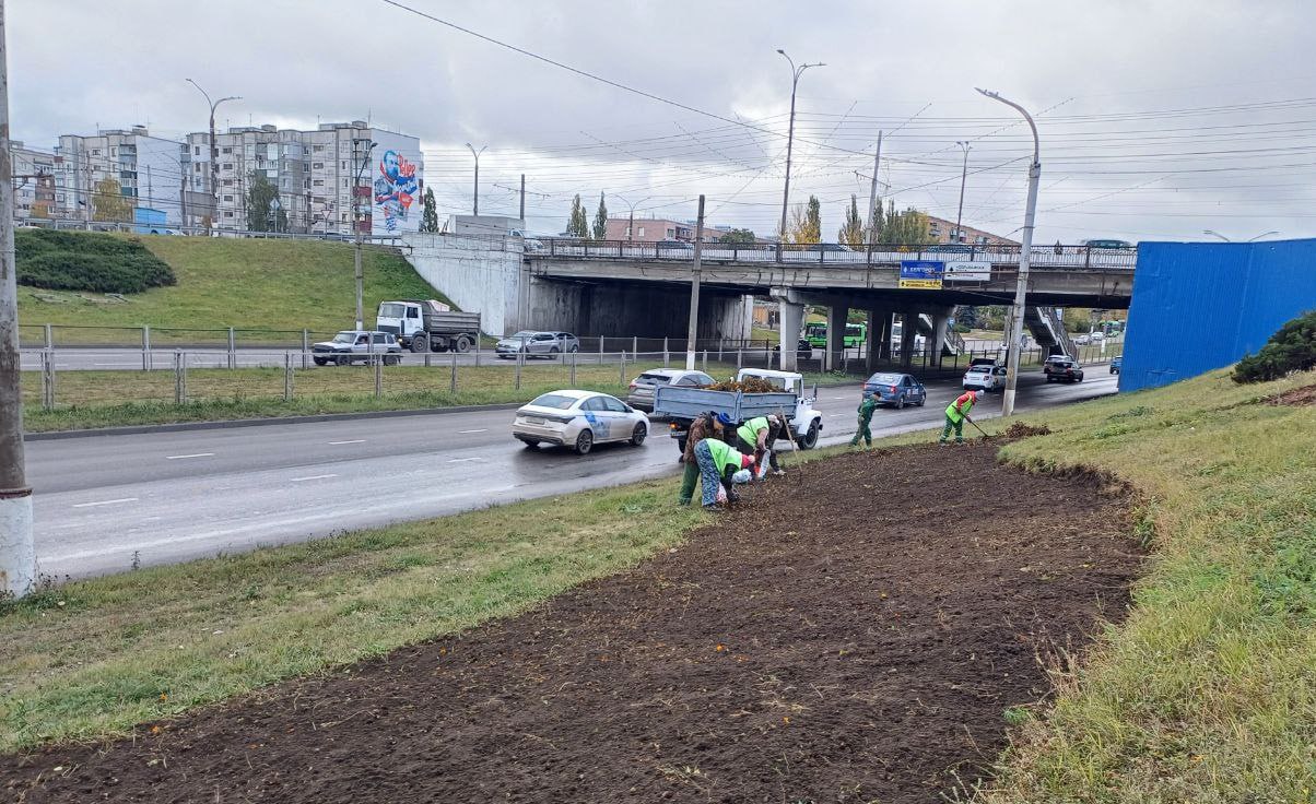 В Курске готовят цветники к зиме