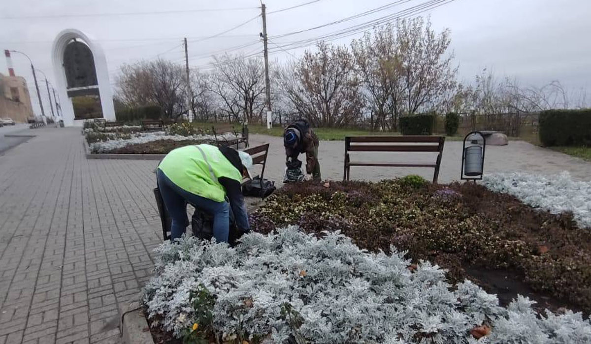 В Курске готовят городские клумбы к зиме