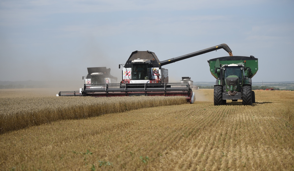 В Курской области за год объем сельхозпродукции составил 237,7 млрд рублей