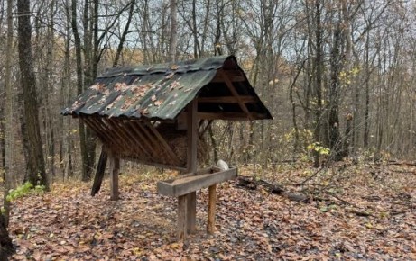 В Курской области провели 150 рейдов по охране животного мира: составлены протоколы и продолжаются биотехработы
