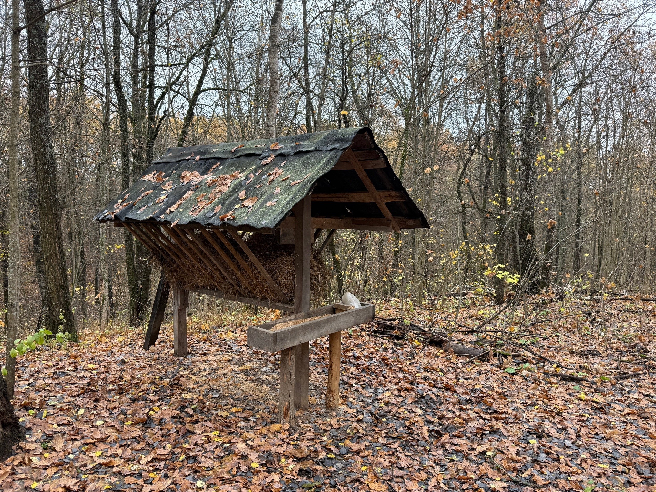 Минприроды продолжает мероприятия по охране животного мира