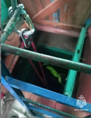 В Курской области спасли упавшего в погреб пенсионера