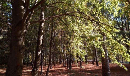 В Курской области подвели итоги пожароопасного сезона