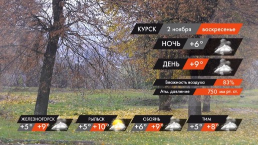 #ПогодаКурск. В воскресенье 2 ноября в Курске будет облачно с прояснениями