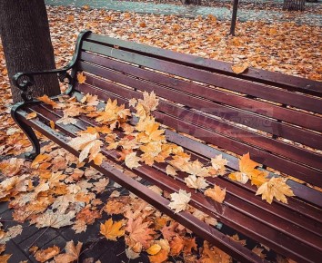 В Курской области 2 ноября ожидаются дожди, туманы и до +11 градусов