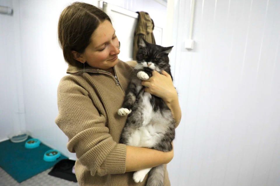 А давайте устроим сегодня марафон добрых публикаций