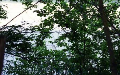 В Курской области завершили пожароопасный сезон 2025 года: лесные возгорания удалось предотвратить