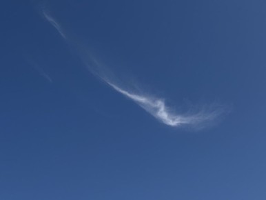 4 украинских БПЛА были сбиты над Курской областью за вечер